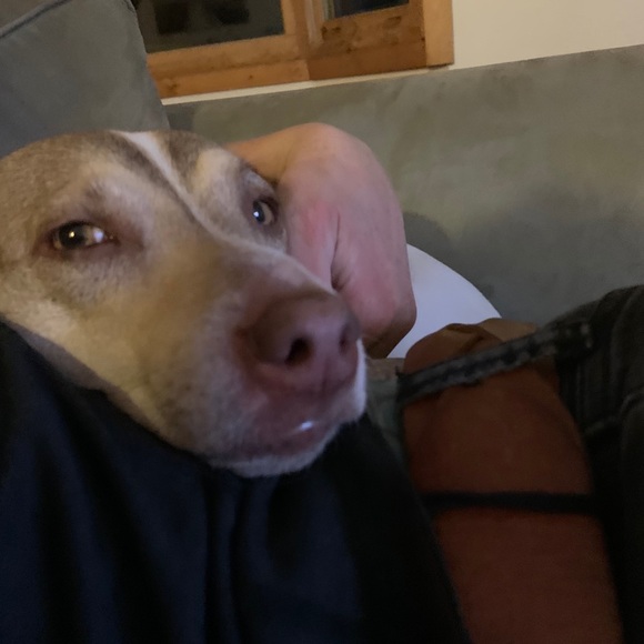 Meet your Posher, Olivia - Picture 9 of 11